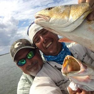 Meet your Posher, Philip